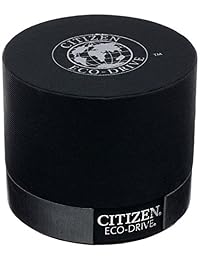 Citizen Eco-Drive EW1568-04A reloj de acero inoxidable con malla de cuero negro verdadero para mujer