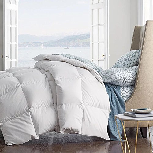 Summer Spring Down Comforter Light Weight Duvet Insert Solid Fluffy Soft Warm Hypoallergenic White, Full/Queen 90x90inch