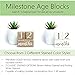 Natural Solid Wood Milestone Age Blocks (Multi-Color), Baby Age Photo Blocks