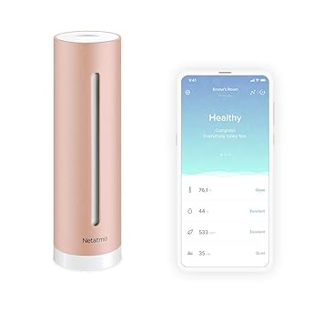 google home hub netatmo