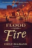 Raider's Ransom: Flood and Fire by