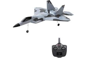 GoolRC WLtoys XKS A180 RC Airplane, 2.4Ghz 2 Channel Remote Control Plane with 6 Axis Gyro System, Adjustable Rudder, Brushless Motor and 1 Batteries, Easy to Fly RTF Foam RC Aircraft for Adults