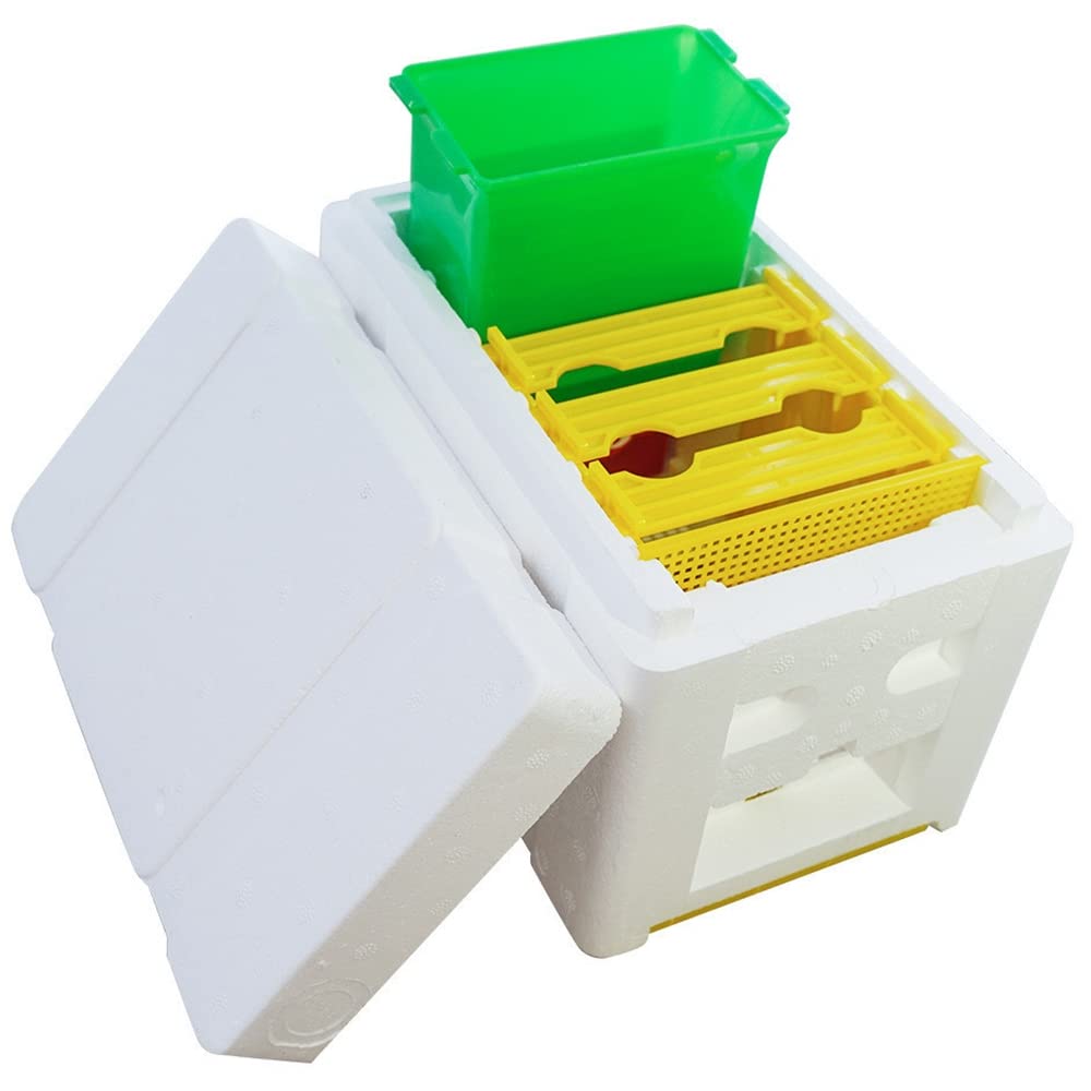 HunterBee Queen Mini Bee Mating Nuc Box Queen Bee Breeding Box Pollination Box Foam Frames Beekeeping Tool Beekeeping Equipment Mating Nucs Hive Beekeeper Supplies