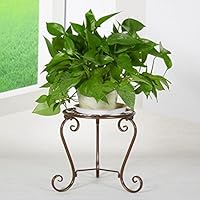 PANYFDD Wrought Iron Flower Stand Balcony Flower Pot Shelf Indoor Bedroom Living Room Single Layer Plant Stand Home Garden Yard (Color : Bronze)