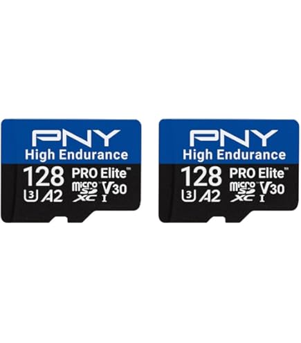Amazon.com: 2-Pack SanDisk High Endurance Video Monitoring
