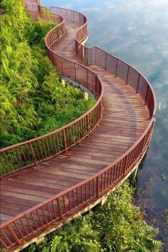 Lakeside Nature Walkway in Singapore Journal: 150 page lined notebook/diary