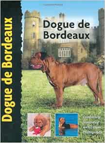 vineyard dogue de bordeaux