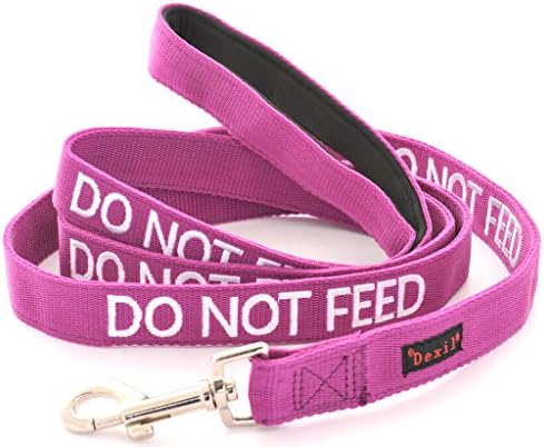 DO NOT FEED Purple Color Coded 6 Foot Padded Dog Leash (May Have Allergies) PREVENTS Accidents By Warning Others of Your Dog in Advance