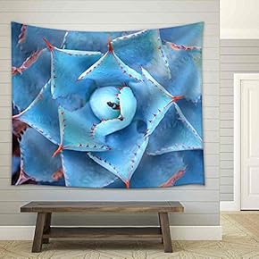 Macro of Succulent Plant in The Desert - Fabric Wall Tapestry Home Decor - 51x60 inches