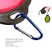 Arlei Pet Silicone Foldable Bowl - Retractable Travel Portable Water Bottle/Dish with a Metal Carabiner, Also Can Used as Flying Disc Toy for Dogs & Cats, Pink Brand change to:BOGZON