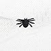 CA Mode Women Witch Hat Wizard Cap Headwear Spider Feather Halloween Costume Dark Black