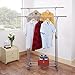 ProAid Adjustable 2 Rods Rolling Garment Rack with Brake Wheels, Hight Quality Stainless Steel Clothes Rack, Gray