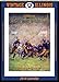 Illinois Fighting Illini 2014 Vintage Football Calendar by 
