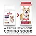 Hill's Science Diet Adult 1-6, Adult 1-6 Premium Nutrition, Small Kibble, Dry Dog Food, Lamb & Brown Rice, 4.5 lb Bag