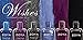 Zoya Nail Polish Wishes Winter Holiday - 2014 Collection