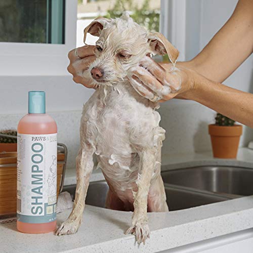 3 Natural+Oatmeal+Dog+Shampoo+Conditioner+Medicated