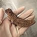 GOLDENSEA-Natural Sun Dried Alaska Red Sea Cucumber 金海堂-野生淡干海参, 阿拉斯加野生红刺参(Medium Size)1lb, Grade AAAA