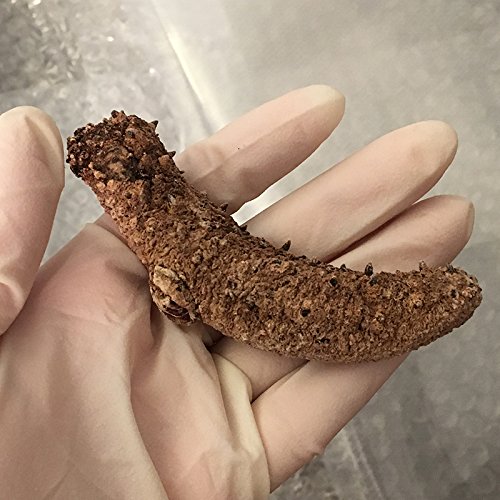 Alaska Red Dried Sea Cucumber-natural Sun Dried(Medium)1lb, Grade AAA