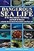 Dangerous Sea Life of the West Atlantic, Caribbean, and Gulf of Mexico: A Guide for Accident Prevent by Edwin S Iversen, Renate H Skinner