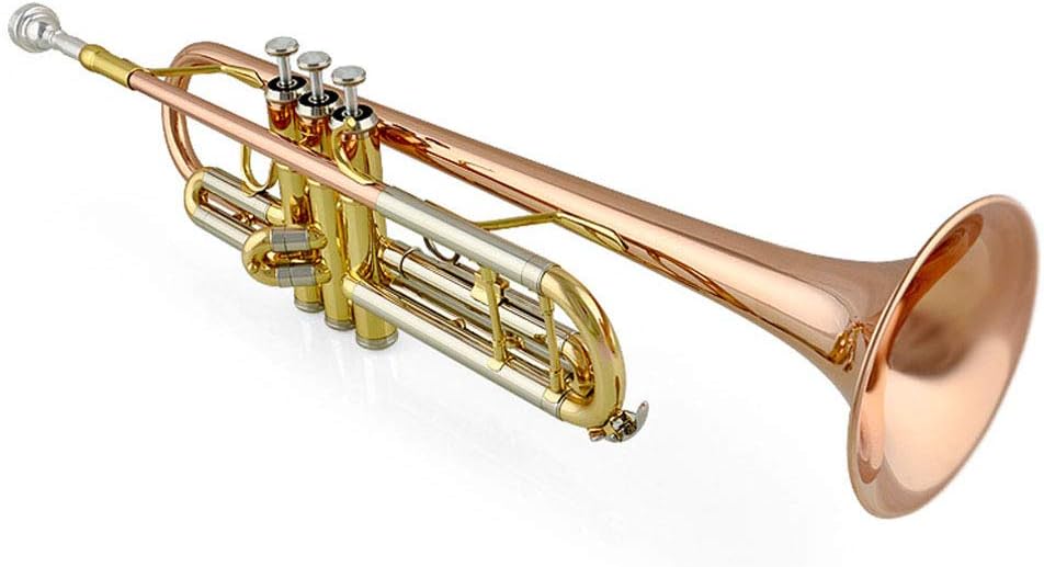 LVSSY-Brass Bb Trumpet With Pro Case Care Kit Gold No Need To Vote Student Beginner With Hard Case