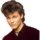 Sabosi Men 80s Wig Short Brown Mullet Wigs,Disco Rocker Punk Synthetic Hair for Daily Cosplay Halloween Wigs