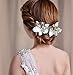 Dreamlily Hawaiian Orchid Flower Hair Clip Hair pins for Beach Party BC14 (White)