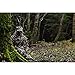 Swedteam Ghillie Suit - Leafy Suit for Men - Supernatural Camouflage - Jacket & Pants -Size Large