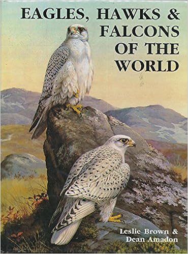 Buy Eagles Hawks And Falcons Of The World Book Online At