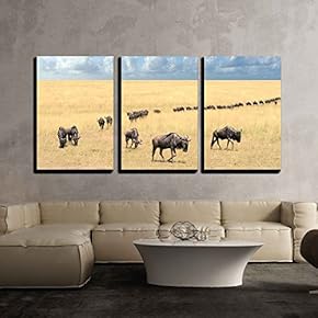 3 Piece Canvas Wall Art - Wildebeest, National Park of Kenya, Africa - Modern Home Art Stretched and Framed Ready to Hang - 16"x24"x3 Panels