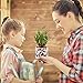 3 Betta Bamboo Plant – Create attractive Zen Garden - Purifies water by absorbing Nitrate and Ammonia - Control algae by competing for nutrients - Extreme Hardy plant, survive in low light condition