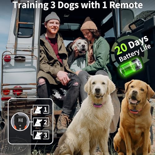 PaiPaitek No Shock Dog Training Collar with Remote 3300FT, Vibrating Dog Collar with Beep & Vibration Modes, Waterproof & Rechargeable E-Collar for Small to Large Dogs (5-120 lbs)