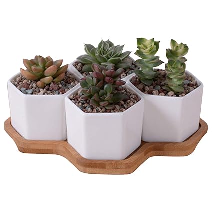 Outgeek 4PCS Succulent Pot Decorative Simple Hexagon Plant Pot with Bamboo Tray