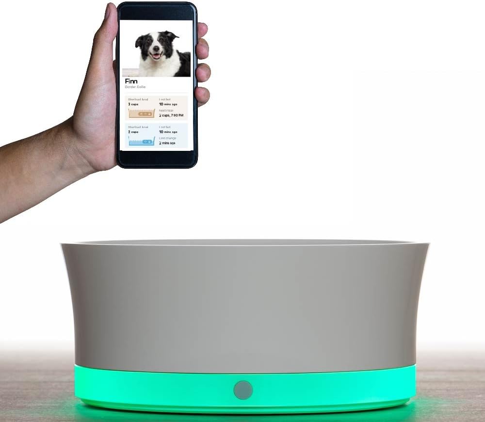 smart dog bowl