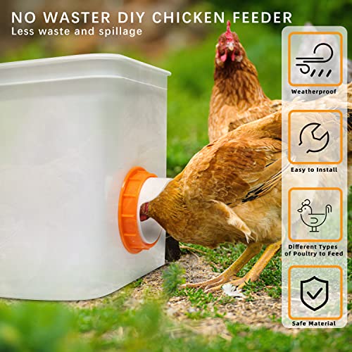 thumbnail image 2 of Chicken Feeder No Waste No-Waste Chicken Feeder Kit - 4 Port DIY 2 of 9