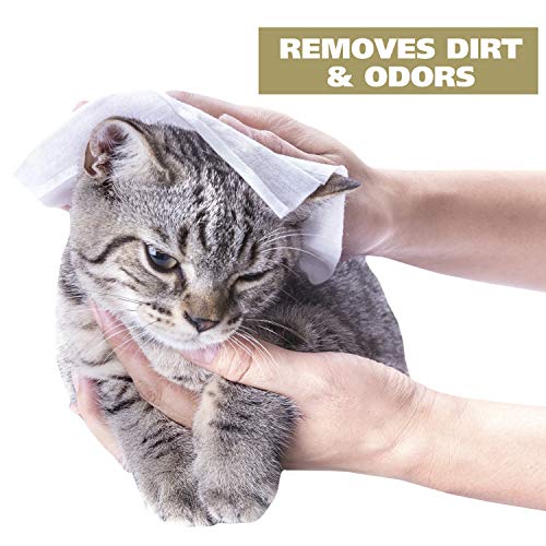 WAHL Cat Refresh Cleaning Wipes with Oatmeal Formula for Refreshsing and Cleaning Dirty Cats - 50 Count (820017-500) - Image 3