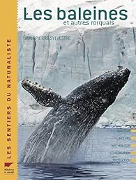 La Baleine Et Autres Rorquals Jean Pierre Sylvestre Babelio La Baleine Et Autres Rorquals Jean Pierre Sylvestre Babelio