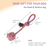 Vivifying Dog Rope Toys Pack of 2 Braided Cotton Interactive Chew Balls view 2