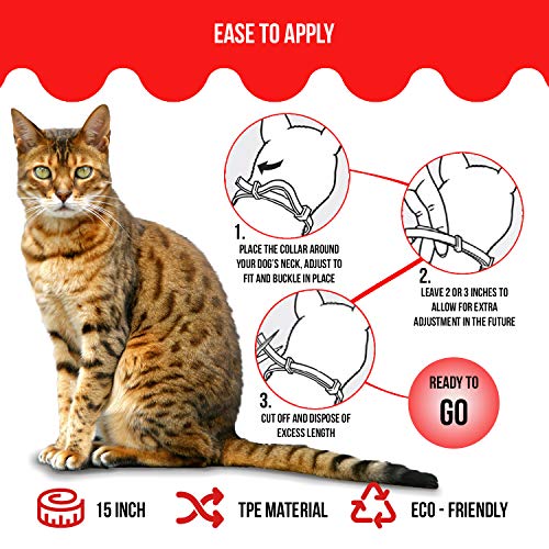 Fleebs Cat Flea for Cats | Cat Collar | Cat Flea Collars | Flea Tick Prevention | Cat Flea Treatment | Flea Protection | Pet Flea Collars | Fleas Ticks for Flea Control Cats