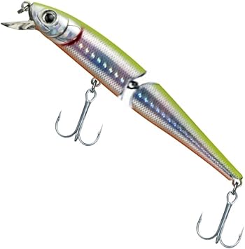 Amazon ダイワ ルアー シーバスハンター3 11fj レーザーチャートレインボー ダイワ Daiwa ルアー Amazon ダイワ ルアー シーバスハンター3 11fj レーザーチャートレインボー ダイワ Daiwa ルアー