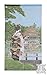 Made in Japan Noren Curtain Tapestry Maiko Kinkakuji