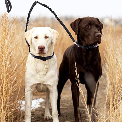 Double Dog Leash,Two Dog Leash No Tangle，Bungee Dog Leashes for 2 Dogs, Dog Trainer Leash,Dual Dog Leash for Walking,Hiking (Blue)