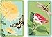 Entertaining with Caspari Double Deck of Bridge Playing Cards with Jumbo Typeface, Winterthur Florals, Set of 2