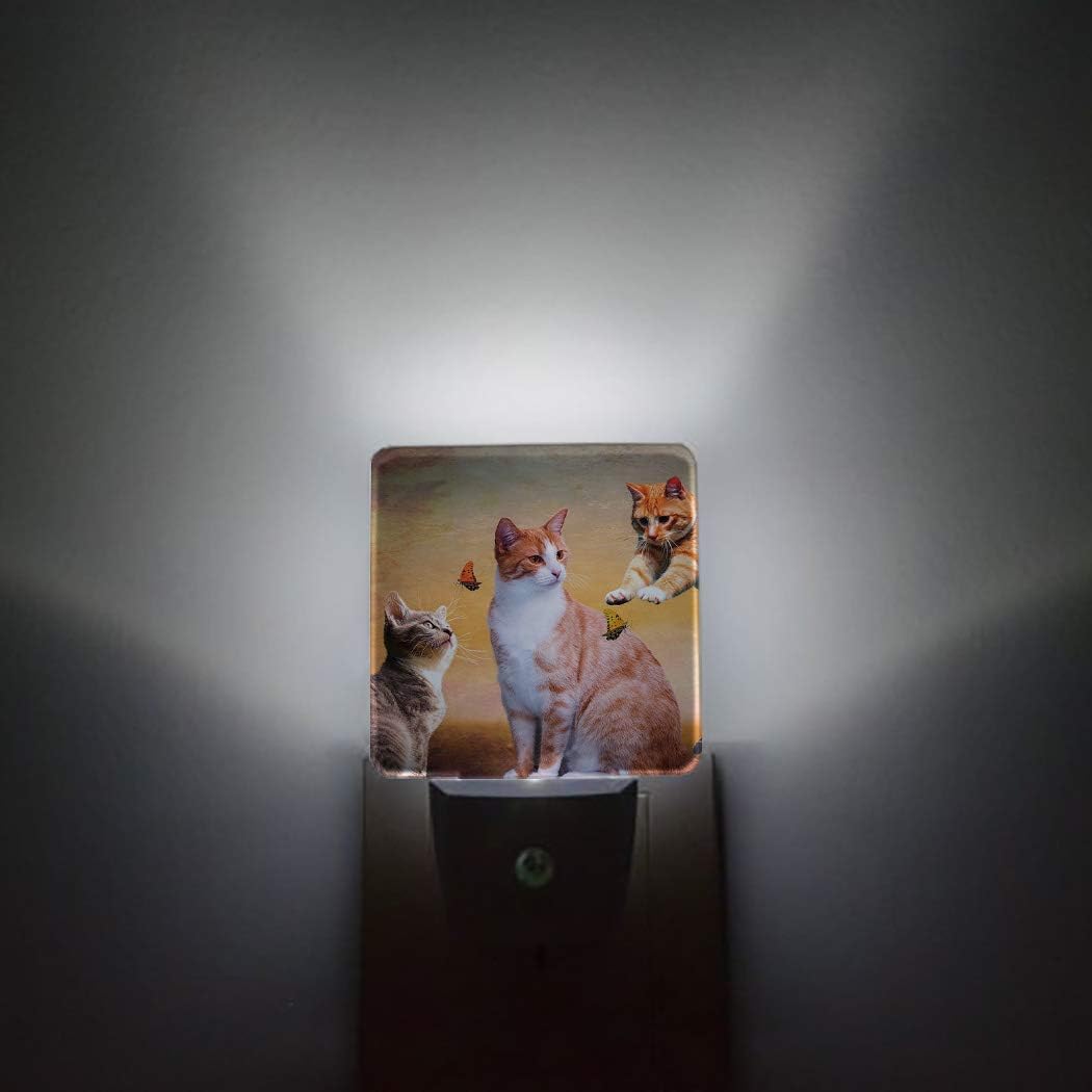 Night Light Plug in LED Lamp Automatic Sensor Night Lights Plug into