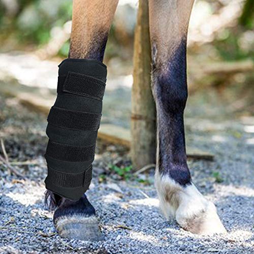 WORLD-BIO Ice Pack Cooling Wrap for Horse Injuries, Therapy Full Leg Ice Boot Cold Pack, Universal Size, 15.5'' x 15.7''Black