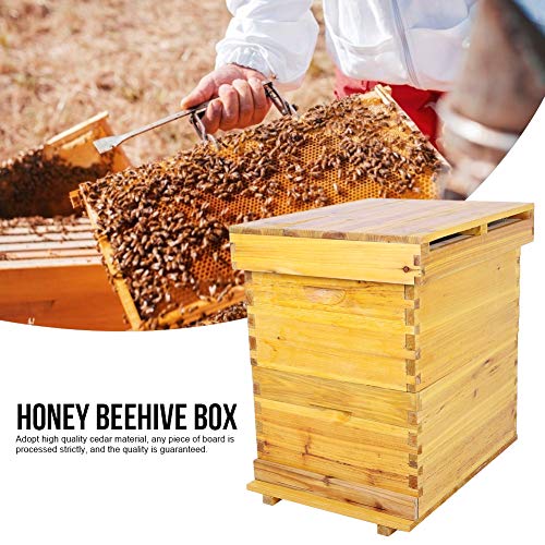 Bienenstock, Bee Hive Kit abschließen 10-Rahmen-Imkerbox-Kit Zedernholz