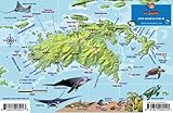 St. John USVI Dive Map Fish ID Virgin Islands Franko Maps Waterproof Fish Card by 