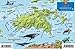 St. John USVI Dive Map Fish ID Virgin Islands Franko Maps Waterproof Fish Card by 