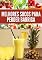 Livro Receitas de sucos para perder barriga: Emagrecer e secar a barriga