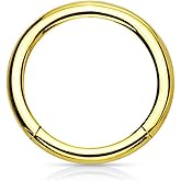 14G-16G Surgical Steel Seamless Segment Body Piercing Hoop (Sold Individually)