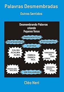 Livro Palavras Desmembradas